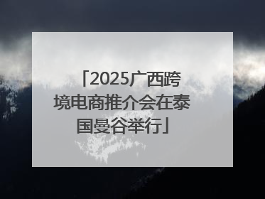2025广西跨境电商推介会在泰国曼谷举行