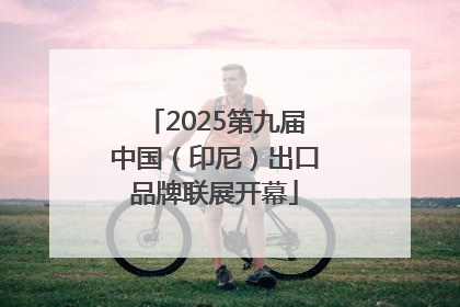 2025第九届中国（印尼）出口品牌联展开幕