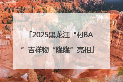 2025黑龙江“村BA”吉祥物“隆隆”亮相