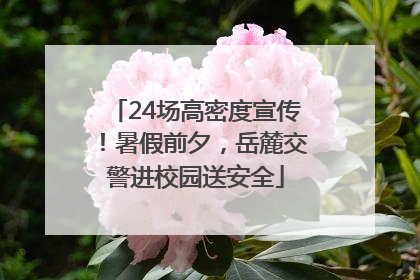 24场高密度宣传！暑假前夕，岳麓交警进校园送安全