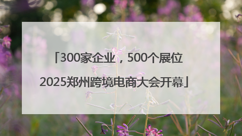 300家企业，500个展位 2025郑州跨境电商大会开幕
