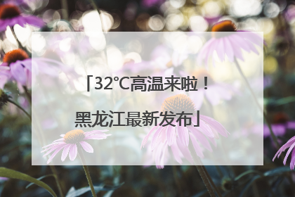 32℃高温来啦！黑龙江最新发布