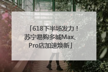 618下半场发力！苏宁易购多城Max、Pro店加速焕新