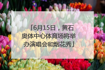 6月15日，黄石奥体中心体育场将举办演唱会和烟花秀