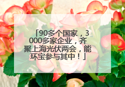90多个国家，3000多家企业，齐聚上海光伏两会，能环宝参与其中！