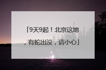 9天9起！北京这地，有蛇出没，请小心