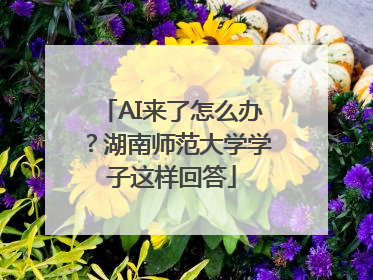 AI来了怎么办？湖南师范大学学子这样回答