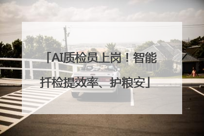 AI质检员上岗！智能扦检提效率、护粮安