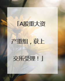A股重大资产重组，获上交所受理！