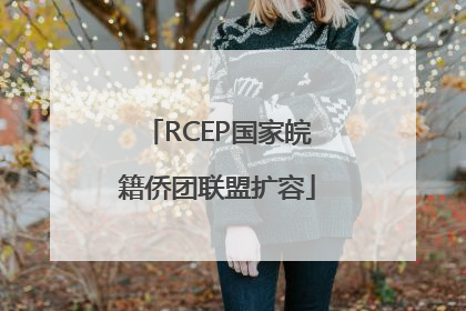 RCEP国家皖籍侨团联盟扩容